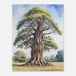 A Splendid Tree in Watercolor Wall Art 27