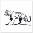 Monochrome Tiger Canvas Print 37