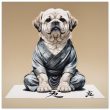 The Art of Zen: A Dog’s Perspective 17