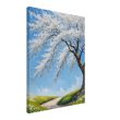 Country Path Charm Blossom Wall art 16