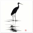 Unveiling Nature’s Grace: A Majestic Heron in Monochrome 15