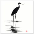 Unveiling Nature’s Grace: A Majestic Heron in Monochrome 21
