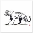 Monochrome Tiger Canvas Print 23