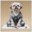 The Art of Zen: A Dog’s Perspective 24