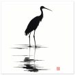 Unveiling Nature’s Grace: A Majestic Heron in Monochrome 12