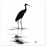 Unveiling Nature’s Grace: A Majestic Heron in Monochrome