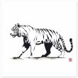 Monochrome Tiger Canvas Print 26