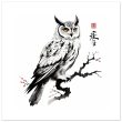 Harmony in Monochrome: Exploring the Allure of the Zen Owl Print 32