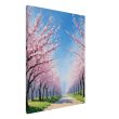 A Walk on a Pink Blossom Pathway 22