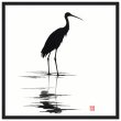 Unveiling Nature’s Grace: A Majestic Heron in Monochrome 14